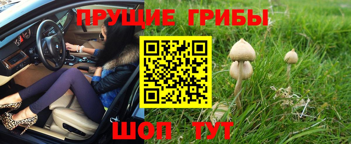 Галлюциногенные грибы Cubensis Каспийск